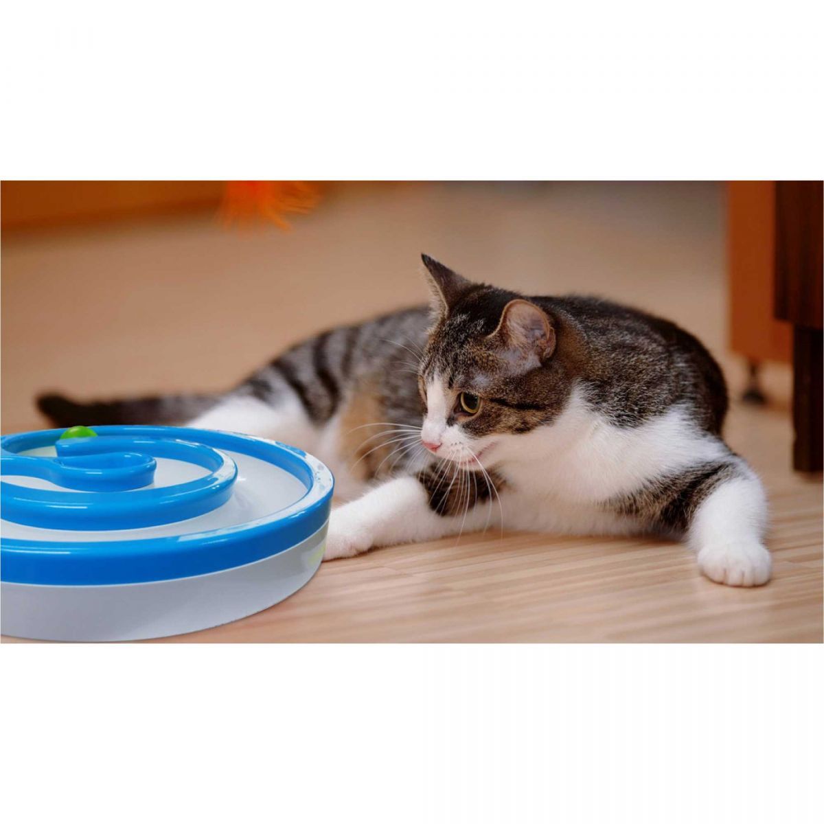 https://img.crazysales.com.au/products_pictures/3563/356378_3159707_F.jpg