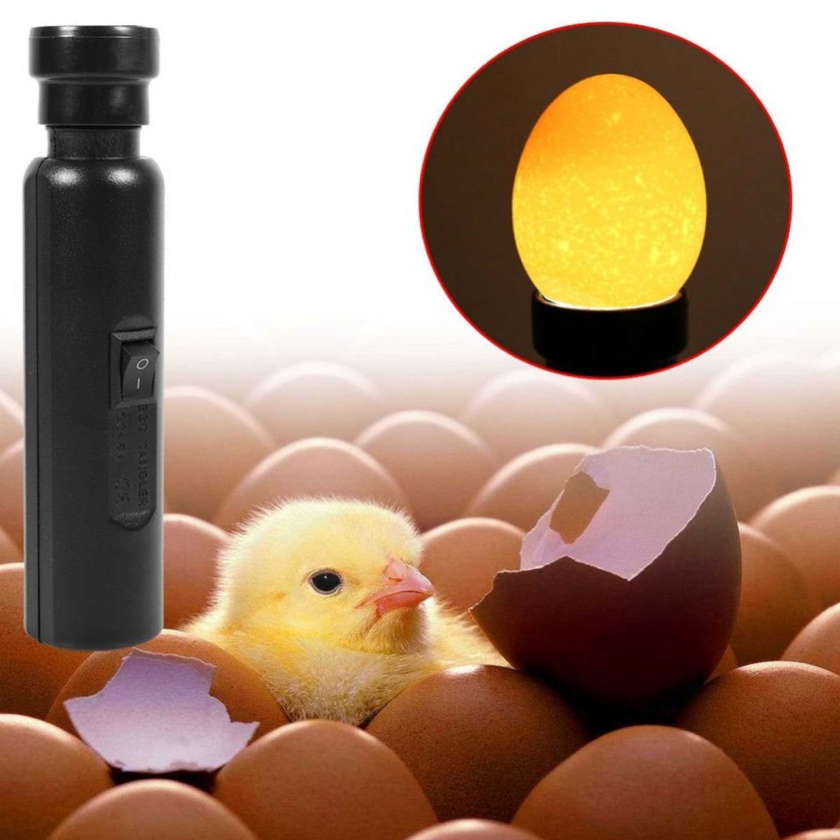 https://img.crazysales.com.au/products_pictures/3564/356409_3268978_F.jpg