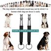 Dog Whistle,2 Pack Professional Ultrasonic Dog Whistle,Recall Training,Stop Barking Control Devices with Black Lanyard