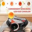 Egg Incubator Hatching Chick Automatic Turning Stop Candler Hatch Days Humidity Display Control 12 Egg Poultry