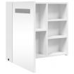 Bathroom Mirror Cabinet with LED Light White 60x13x52 cm