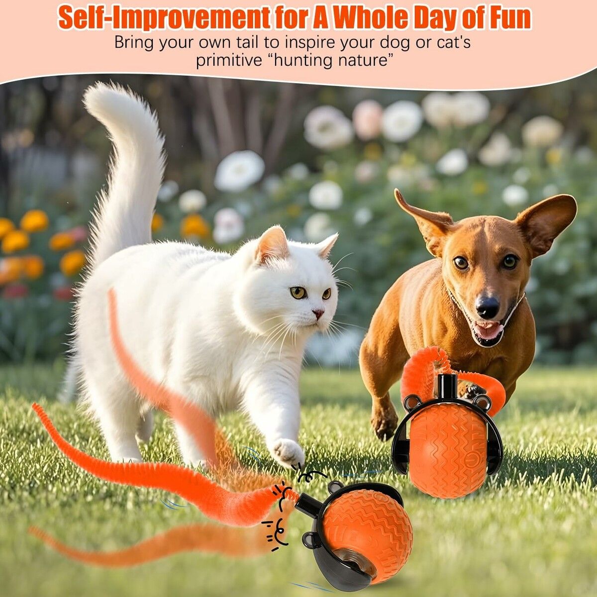 https://img.crazysales.com.au/products_pictures/358/358791_3187209_F.jpg