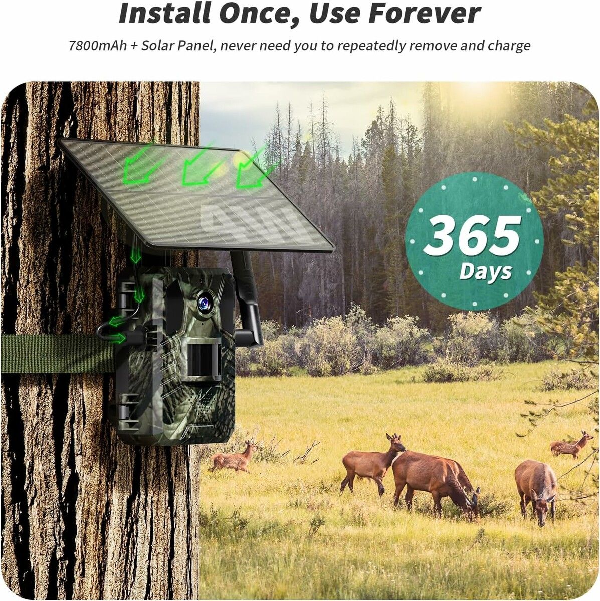 https://img.crazysales.com.au/products_pictures/358/358923_3189472_F.jpg