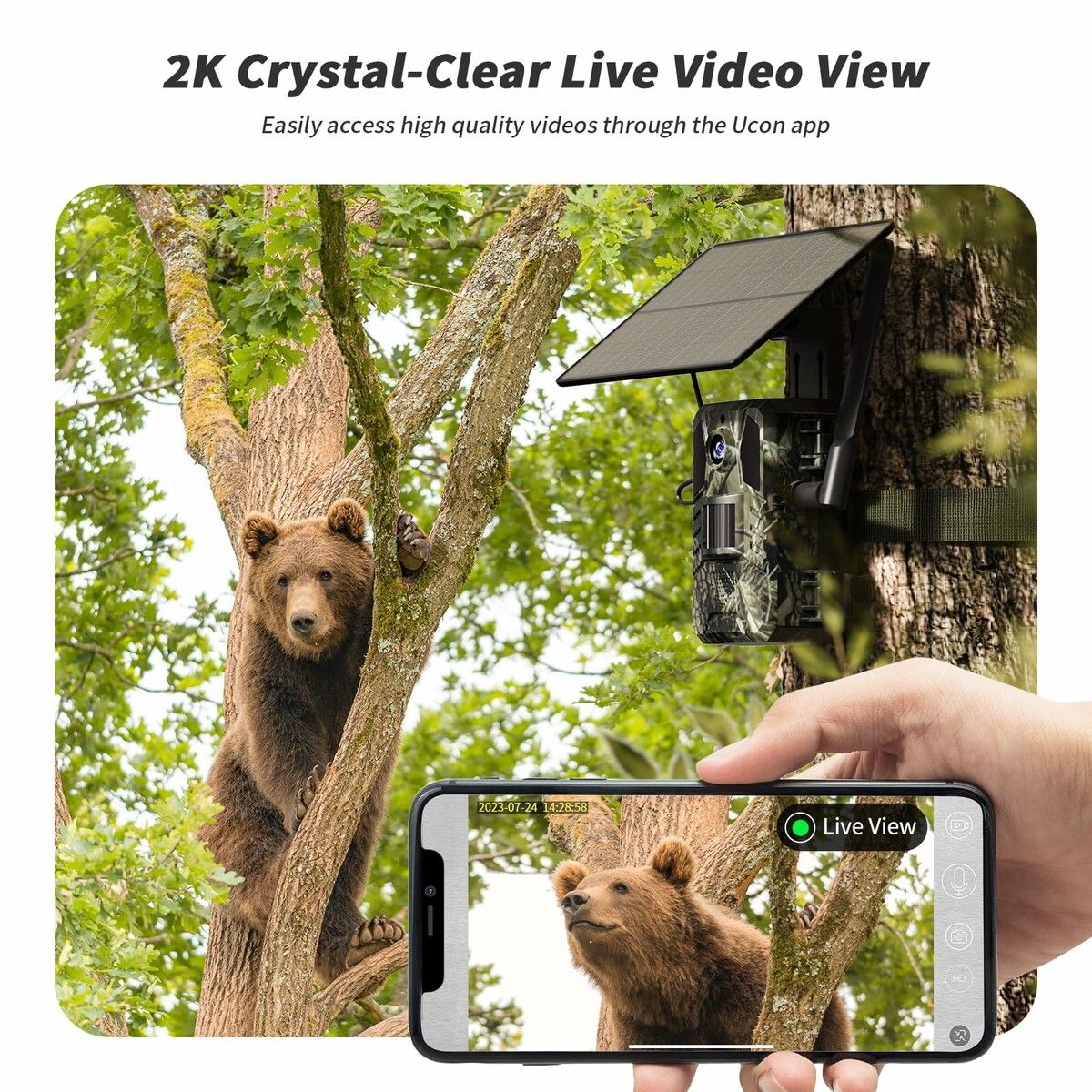 https://img.crazysales.com.au/products_pictures/358/358924_3189485_F.jpg