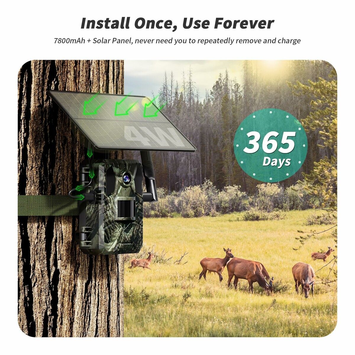 https://img.crazysales.com.au/products_pictures/358/358924_3189487_F.jpg
