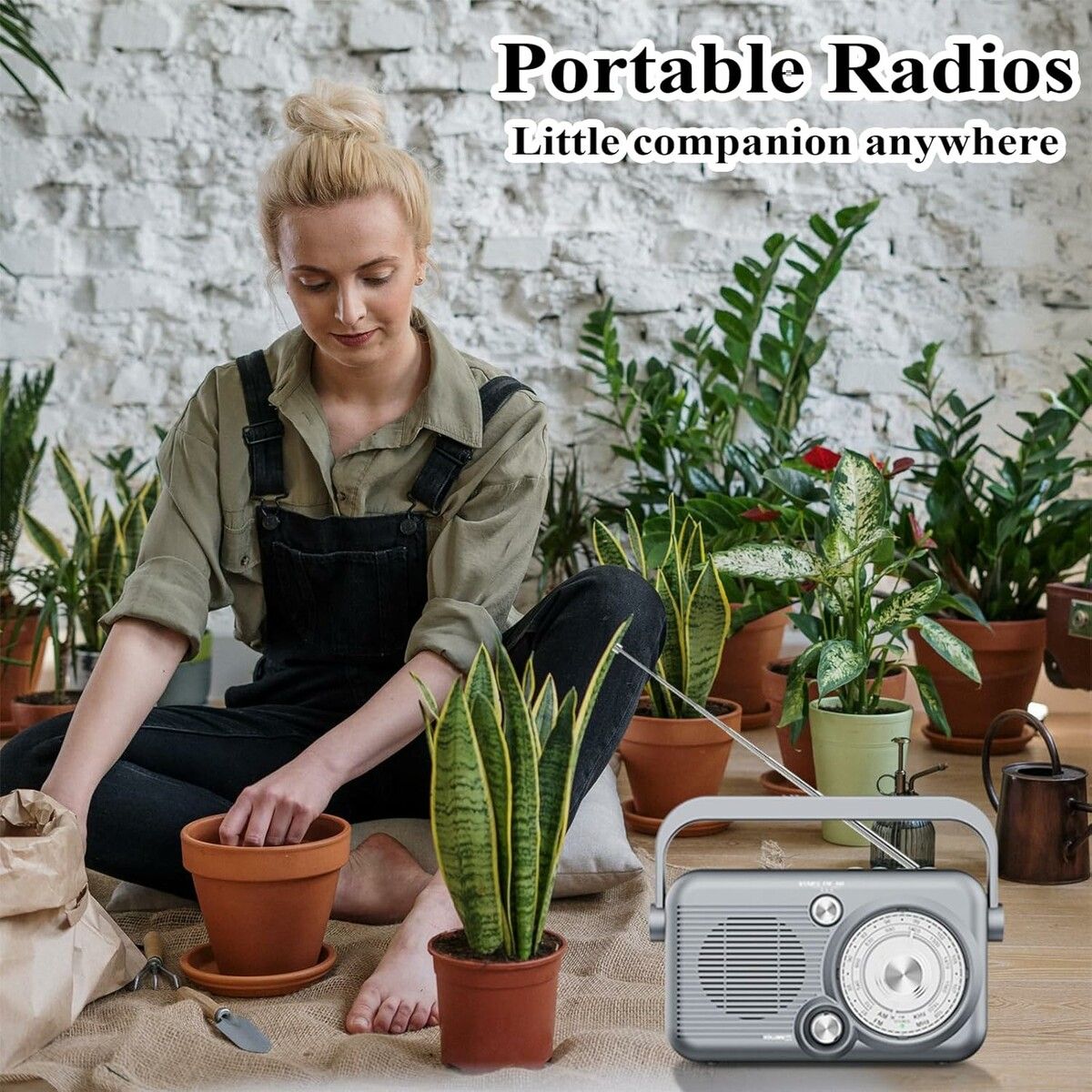 https://img.crazysales.com.au/products_pictures/358/358996_3190414_F.jpg