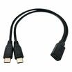 USB C Splitter Charge Cable,1 Feet USB Type C Female to 2 Dual USB Type C Male Y Splitter Extension Charging Cable, Only for Charging