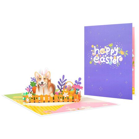 https://img.crazysales.com.au/products_pictures/359/359047_3190918_F.jpg