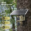 Camouflage 4G Solar Hunting Camera 6 Million Full Colour HD Wireless wifi Solar Surveillance Camera, Dual Lens Dual View, PIR Night Vision, Two-Way Audio