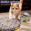 Interactive Cat Toys Ball Fast Rolling in Pouch, Motion Activate Chirping Cat Toy Hide and Seek Mouse Catching Game