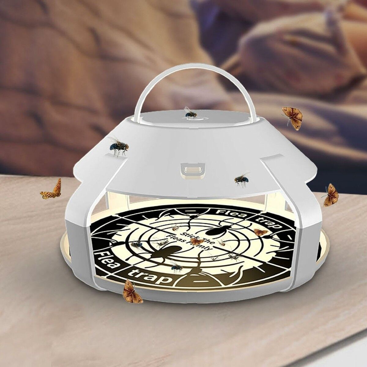 https://img.crazysales.com.au/products_pictures/359/359613_3198551_F.jpg