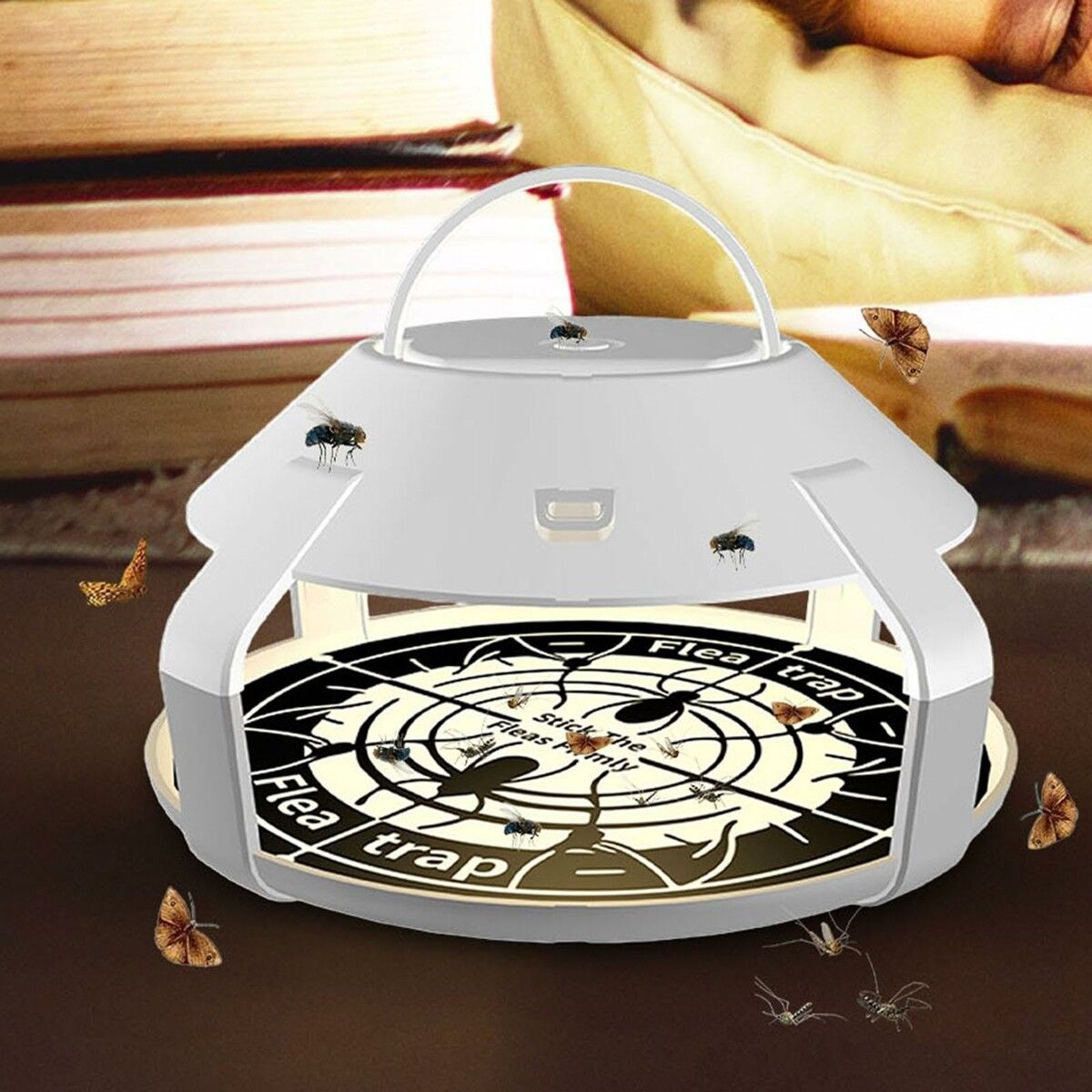 https://img.crazysales.com.au/products_pictures/359/359613_3198554_F.jpg