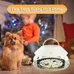 Flea Traps for Inside Your Home with Light,Flea Light Trap for Bug USB Charing Insect Pest Control Traps for Kitchen,Living Room,Balcony and Bedroom