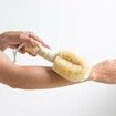 Bath and Shower Dry Skin and Body Sisal Brush, Naturals Fibers to Improve Circulation, Exfoliate Skin, and Reduce Cellulite