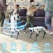 Robot Dog, AI Smart Pet, Will Dance and Kungfu, with Voice, APP, Remote Control, Support Action Programming, Ideal Gift for Kids Age 8 to 12