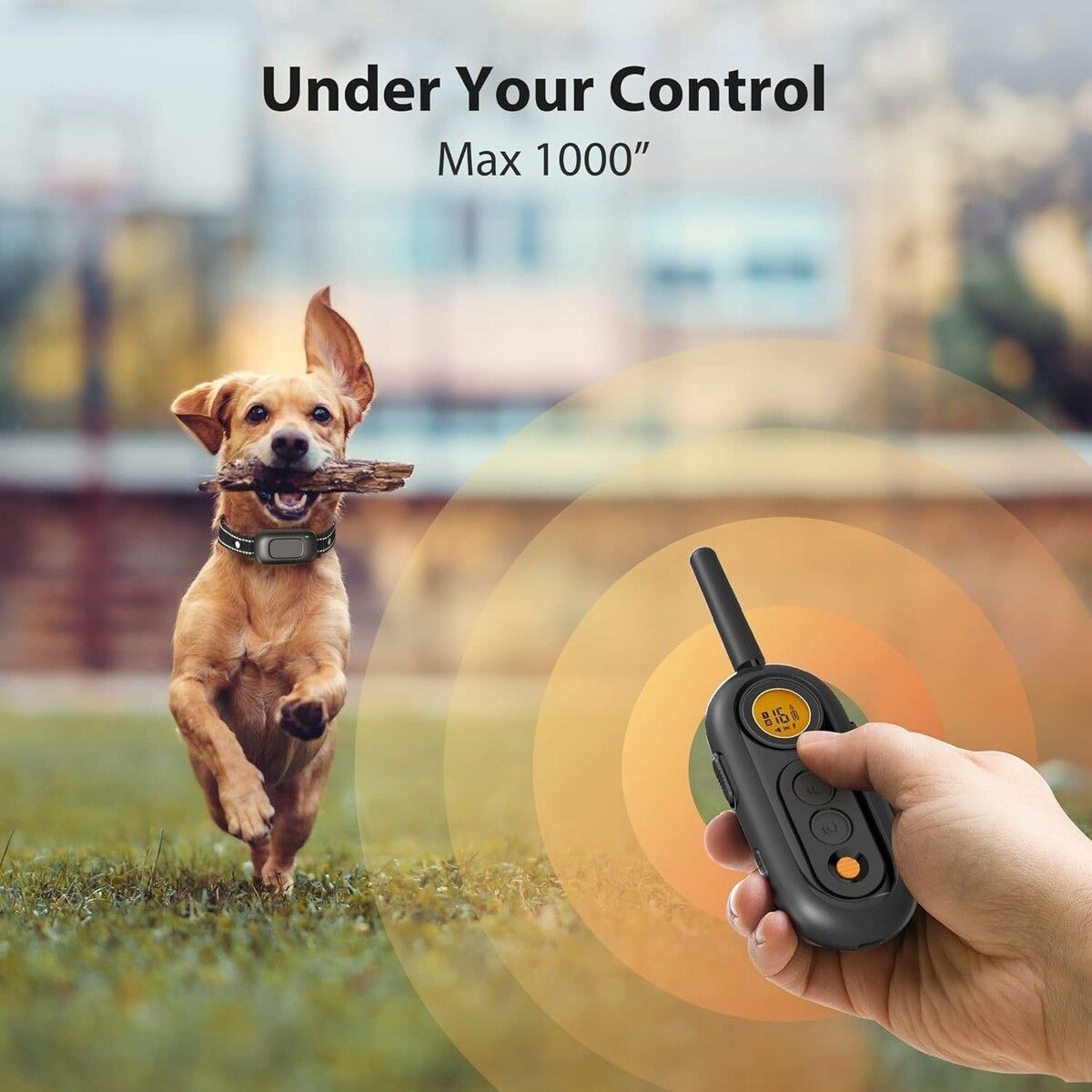 https://img.crazysales.com.au/products_pictures/359/359681_3199401_F.jpg