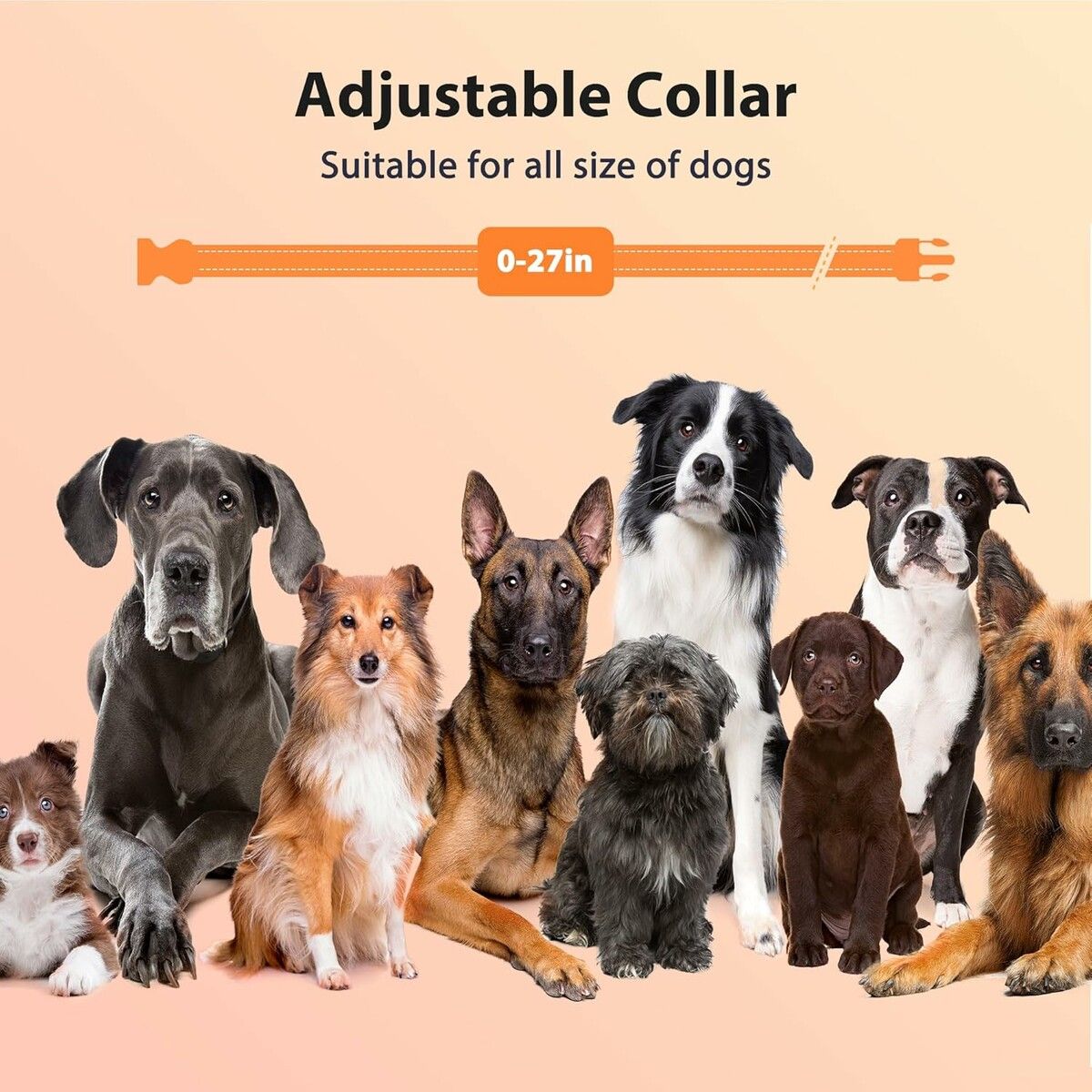 https://img.crazysales.com.au/products_pictures/359/359681_3199402_F.jpg