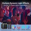 Karaoke Machine 2 Wireless Mics Portable Bluetooth Speaker 50W Handle RGB Lights