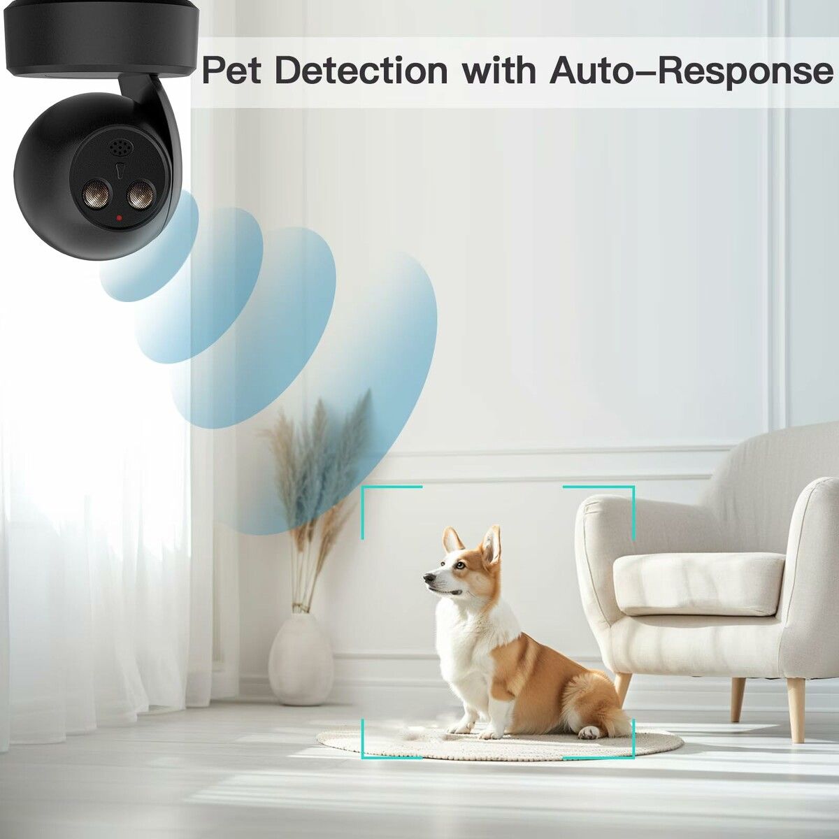 https://img.crazysales.com.au/products_pictures/359/359827_3201020_F.jpg