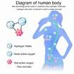 1500ml MAX Hydrogen Water Bottle, Hydrogen Water Generator with SPE/PEM Technology Green