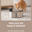 Cat Fountain Filters 5 Pieces Replacement Filtration System 3L Wireless Pet Water Dispenser Drinker Refills Purifier