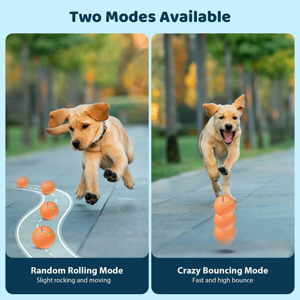 https://img.crazysales.com.au/products_pictures/360/360027_3203089_F.jpg