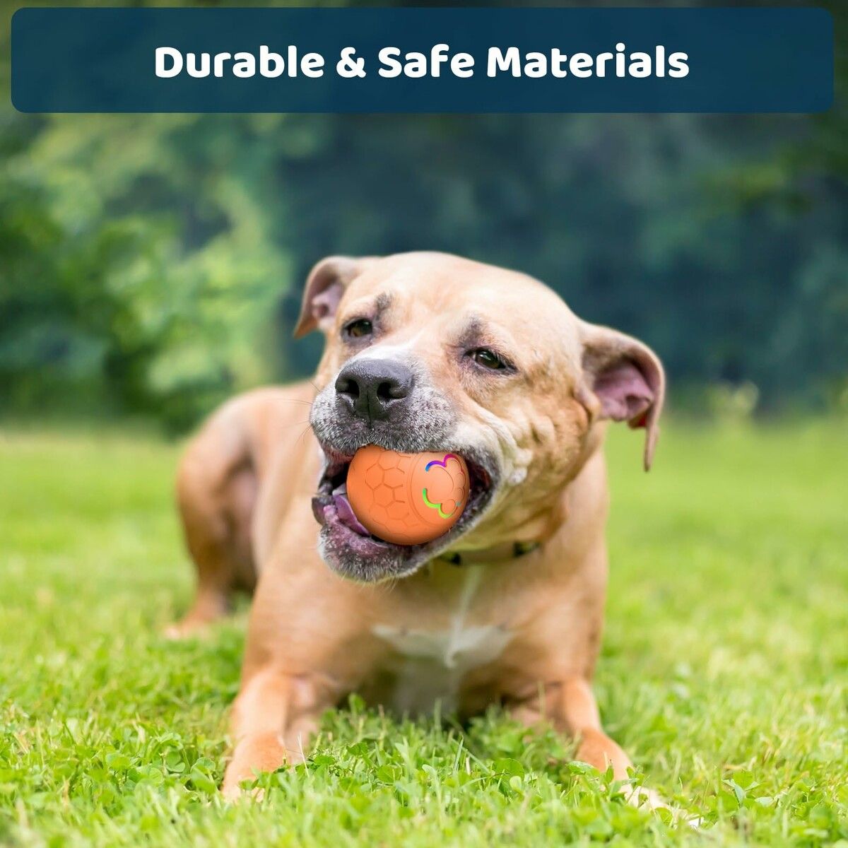 https://img.crazysales.com.au/products_pictures/360/360027_3203093_F.jpg