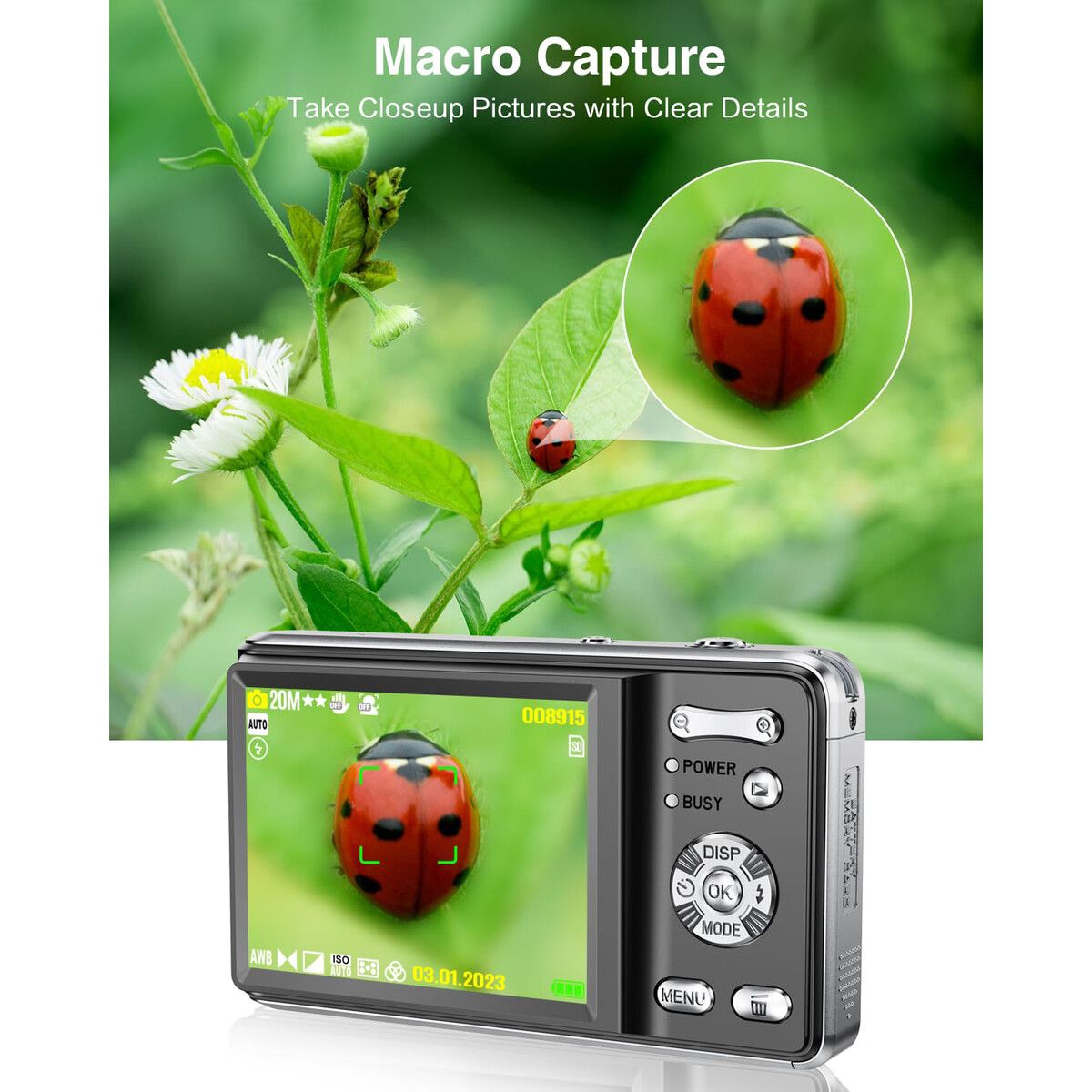 https://img.crazysales.com.au/products_pictures/360/360043_3203676_F.jpg