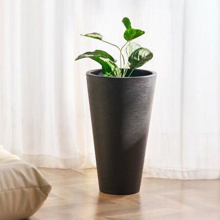 https://img.crazysales.com.au/products_pictures/360/360172_3205194_F.jpg