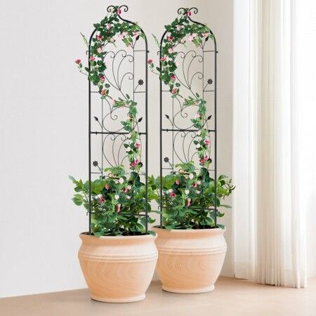 https://img.crazysales.com.au/products_pictures/360/360214_3205615_F.jpg