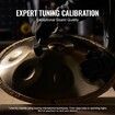 Handpan Drum 22 in 9 Notes D Minor Steel Hand Drum with Mallets
