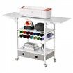 Rolling Craft Cart and Storage Table 14 Vinyl Roll Holders 2 Drawers Foldable