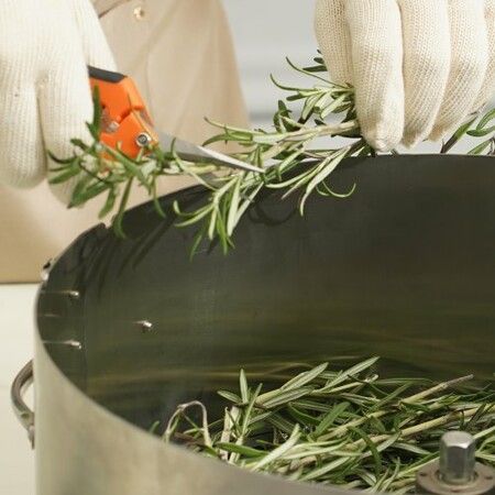 Bud Leaf Trimmer 39.5cm Stainless Steel Manual Bud Trimmer Machine