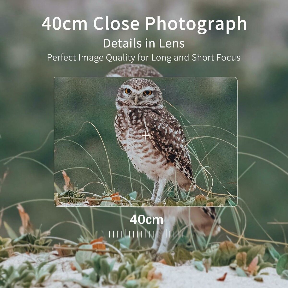 https://img.crazysales.com.au/products_pictures/360/360443_3207976_F.jpg