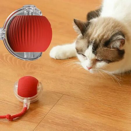 https://img.crazysales.com.au/products_pictures/360/360528_3208936_F.jpg