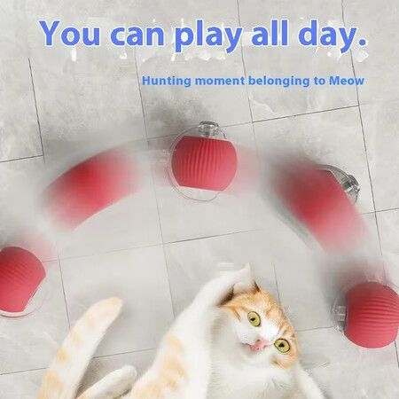 https://img.crazysales.com.au/products_pictures/360/360528_3208939_F.jpg