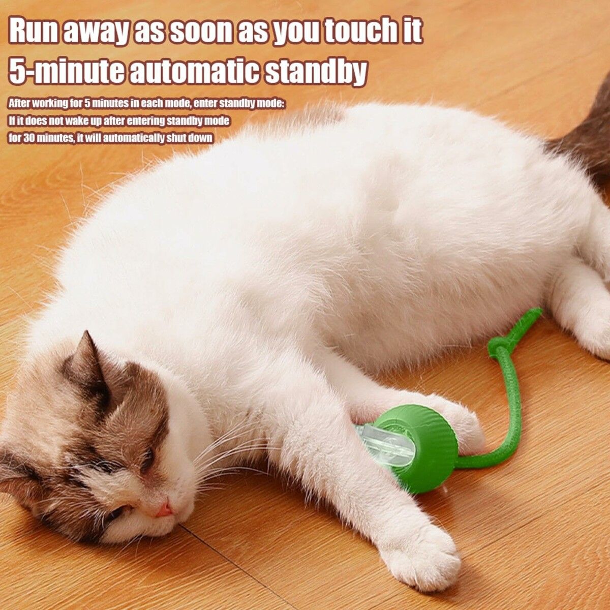 https://img.crazysales.com.au/products_pictures/360/360530_3208954_F.jpg