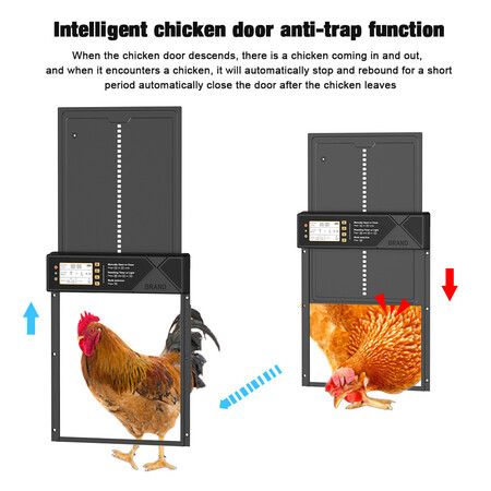 https://img.crazysales.com.au/products_pictures/360/360570_3209405_F.jpg