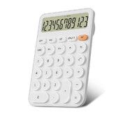 Cute Calculators Desktop Size 16 x 11cm, Battery 12 Digit Desk Calculator Extra Large LCD Display, White