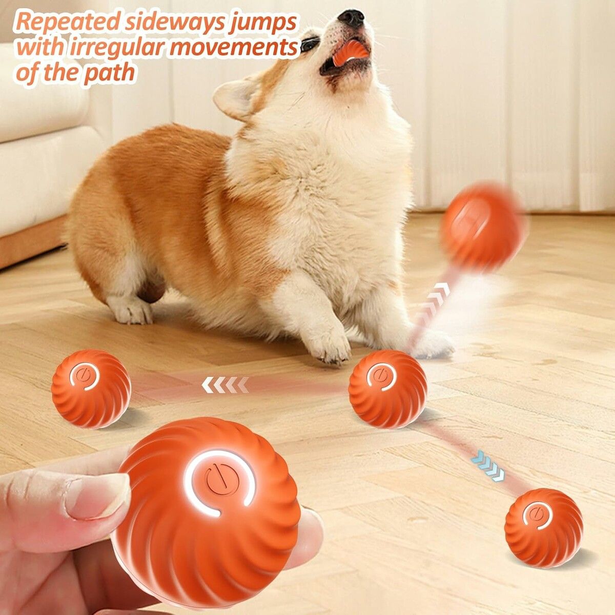 https://img.crazysales.com.au/products_pictures/360/360951_3214872_F.jpg