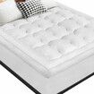 STARRY EUCALYPT Mattress Topper Pillowtop Mesh Bedding Mat Cover 11cm Double