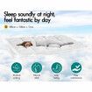STARRY EUCALYPT Mattress Topper Pillowtop Mesh Bedding Mat Cover 11cm Double