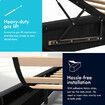 ALFORDSON Bed Frame Queen Size Gas Lift Storage Mattress Base Black WILBUR
