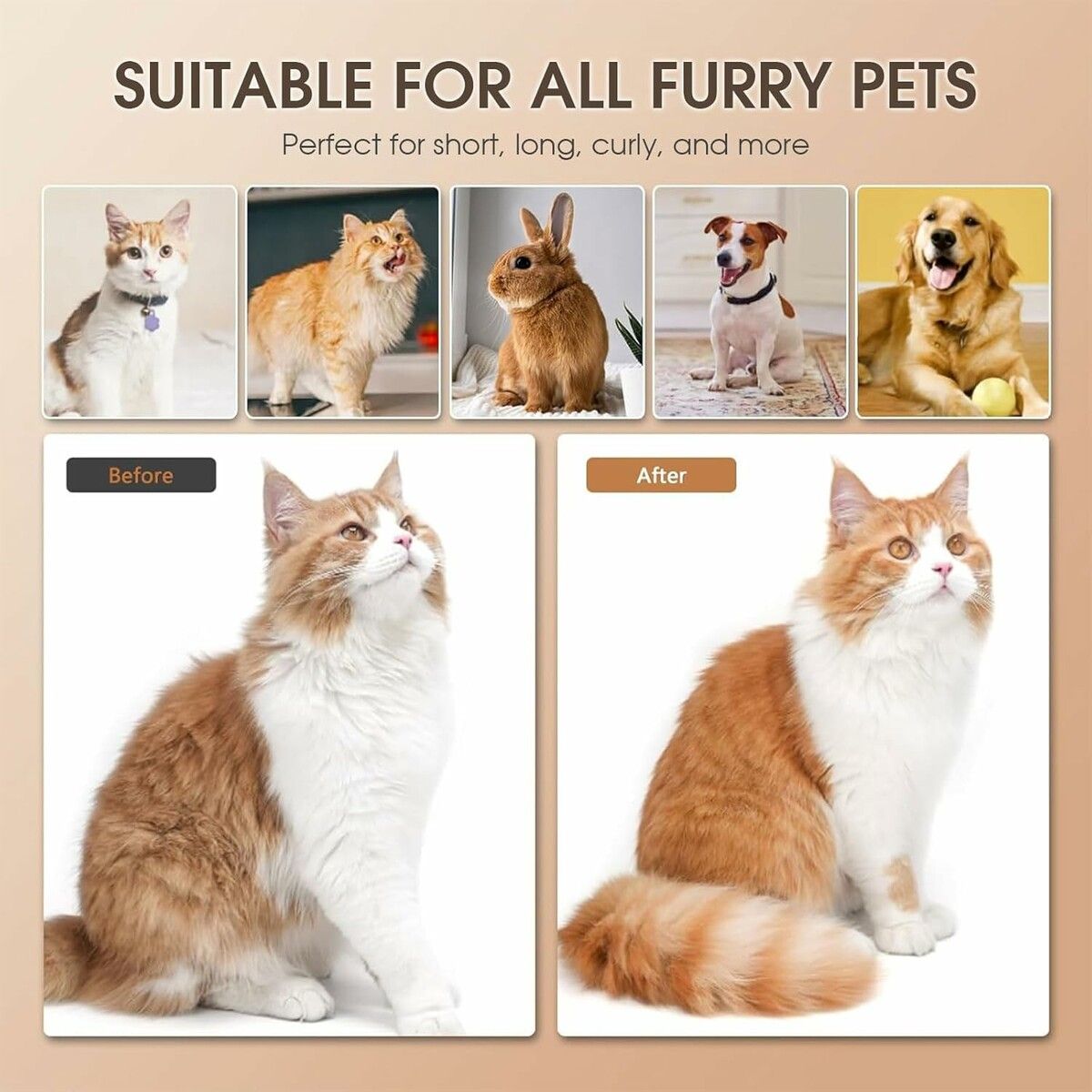 https://img.crazysales.com.au/products_pictures/361/361365_3219048_F.jpg