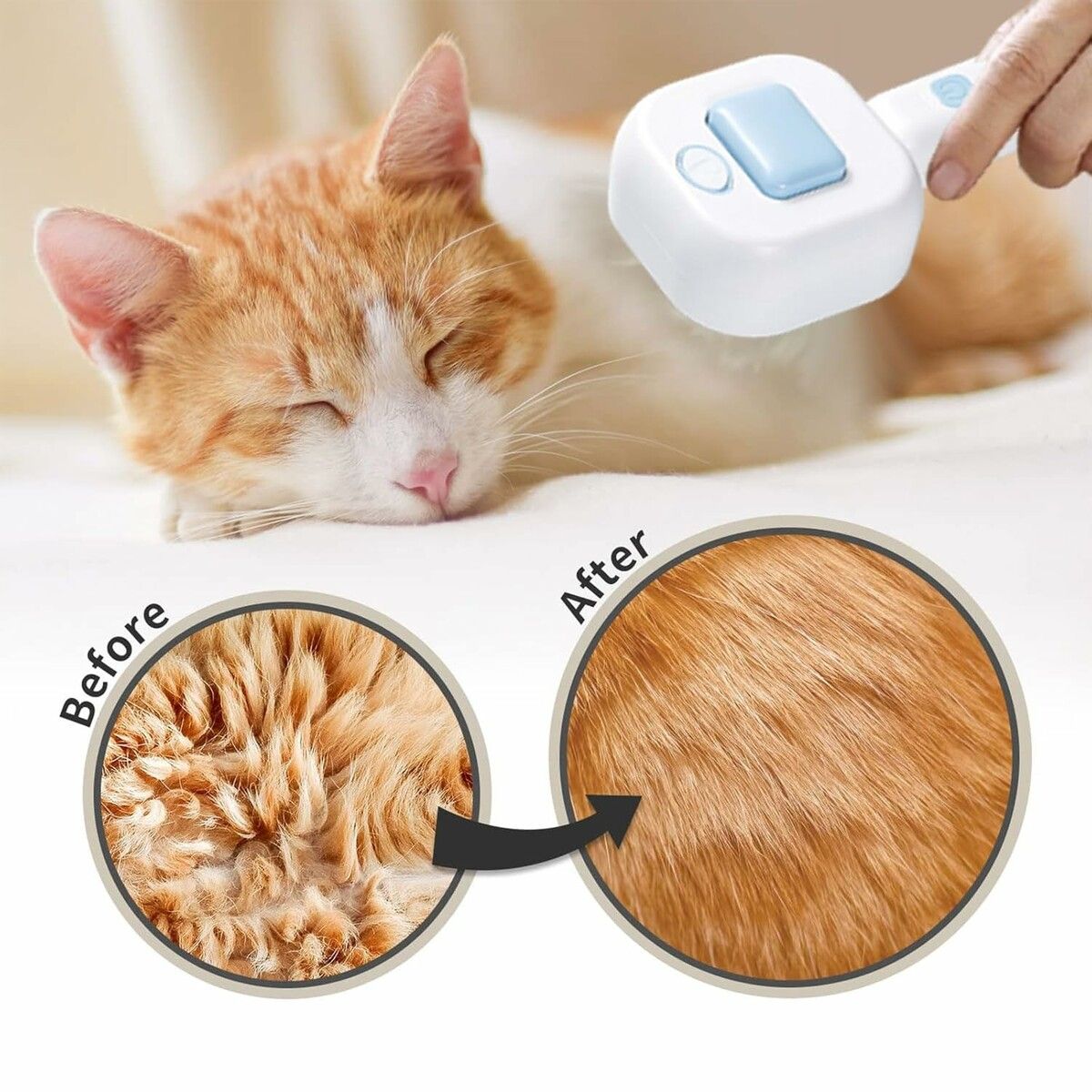 https://img.crazysales.com.au/products_pictures/361/361366_3219054_F.jpg