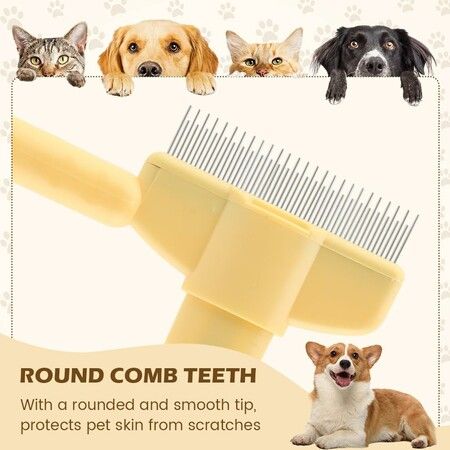 https://img.crazysales.com.au/products_pictures/361/361395_3220336_F.jpg