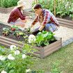Raised Garden Bed Indoor Outdoor Planter Box Flower Herb Vegetable Green Fruit Holder Container for Yard Balcony Window Patio Steel 240x60x30cm