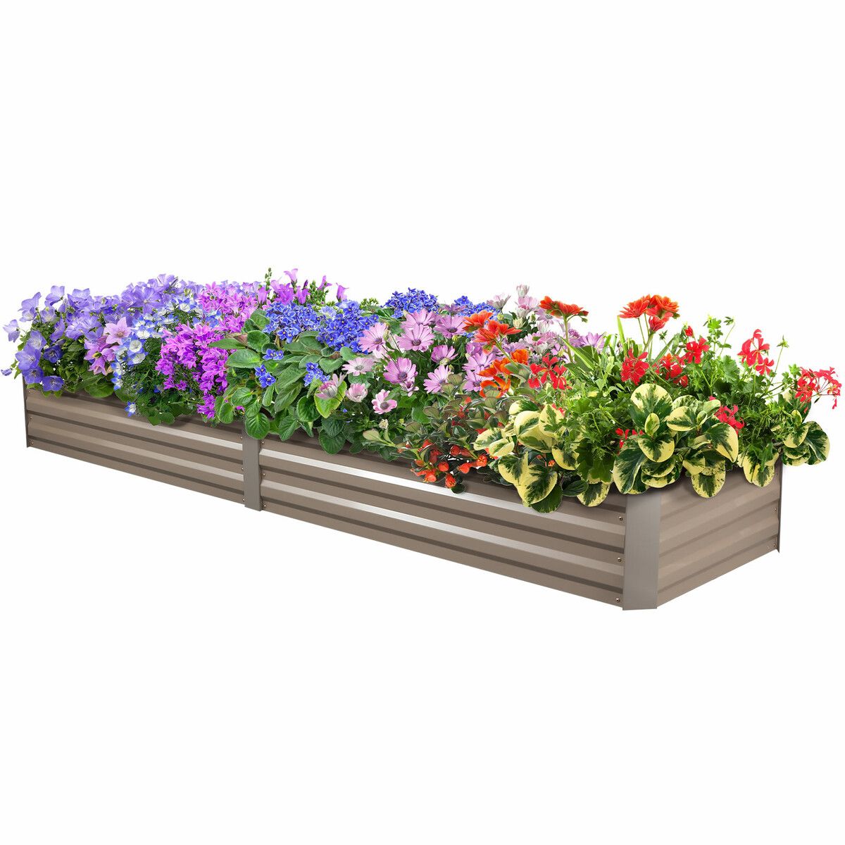 https://img.crazysales.com.au/products_pictures/361/361658_3222732_F.jpg