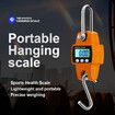 Portable Digital Crane Scale,300kg Hanging Scale,Mini Heavy Duty Industrial Electronic Weight Hook,LCD Digital Crane Scale,Weighing Scale Color Blue