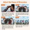 20x50 Binoculars,Binoculars HD High Powered Professional for Bird Watching Travel Concerts-BAK4 Prism FMC Lens,Waterproof,Fogproof with Phone Adapter